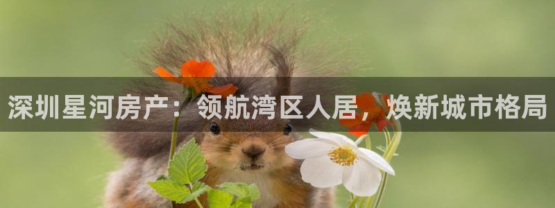 九游会官方网址